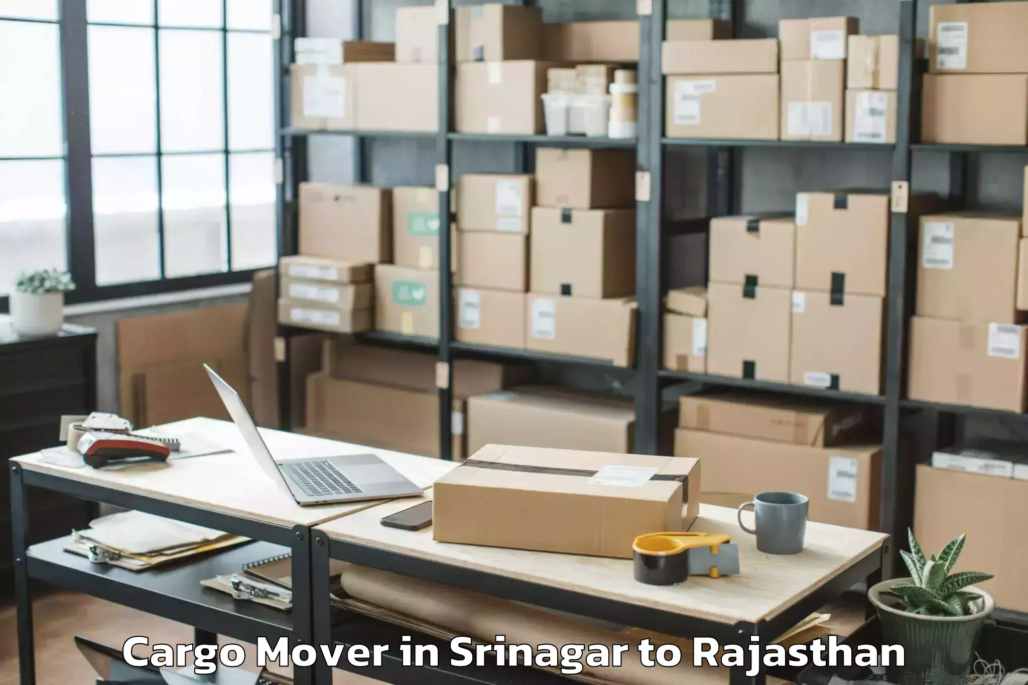 Affordable Srinagar to Sadri Cargo Mover